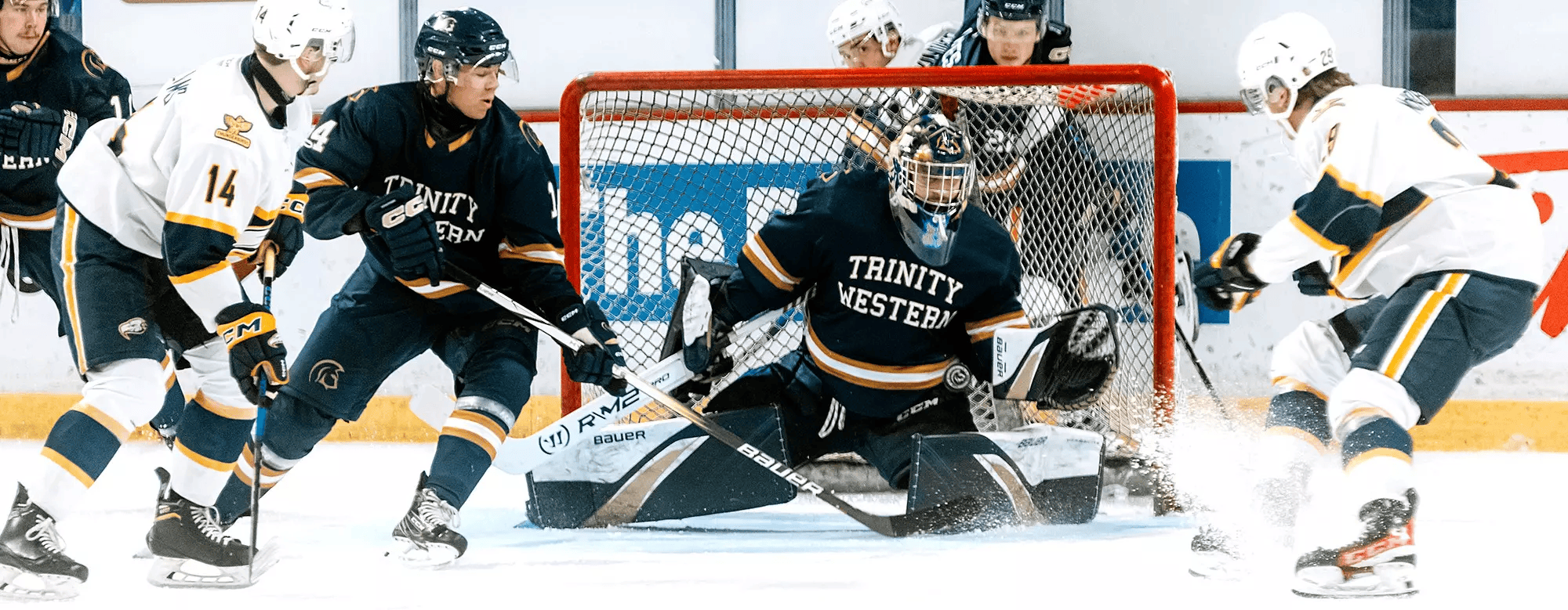 Raphael Audet